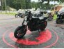 2019 Harley-Davidson Street Rod for sale 201206194